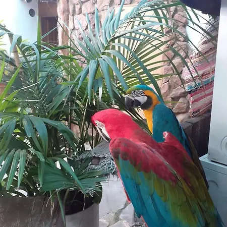 Gasthof La Piedra Viva , Siete Hermanos Agüimes