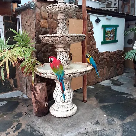 La Piedra Viva , Siete Hermanos 2*
