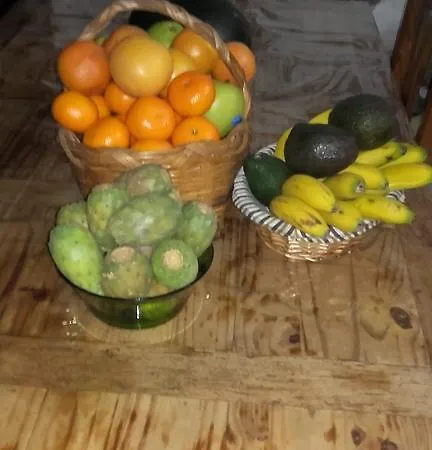 La Piedra Viva , Siete Hermanos Maison d'hôtes Agüimes
